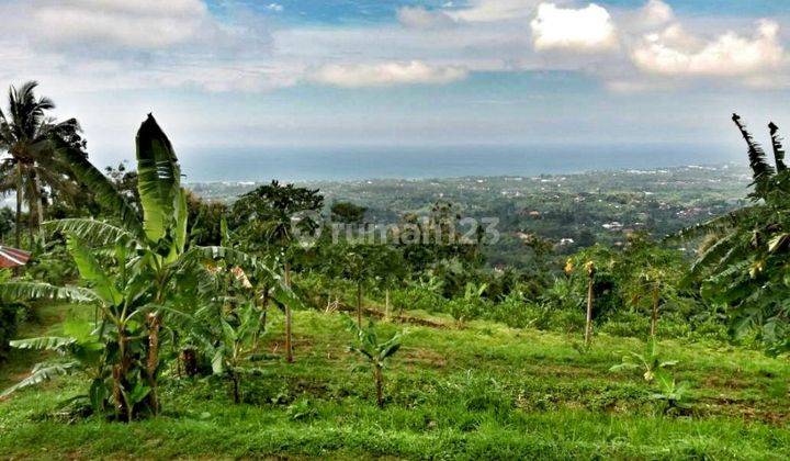 Reduced Price Land 1 Ha Seaview Singaraja Bali 1