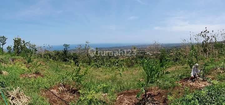 Reduced Price Land 1 Ha Seaview Singaraja Bali 2