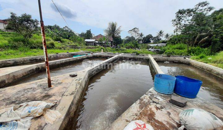 Tanah Villa Kolam Air Deras Jalur Wisata Gunung Salak Endah 2