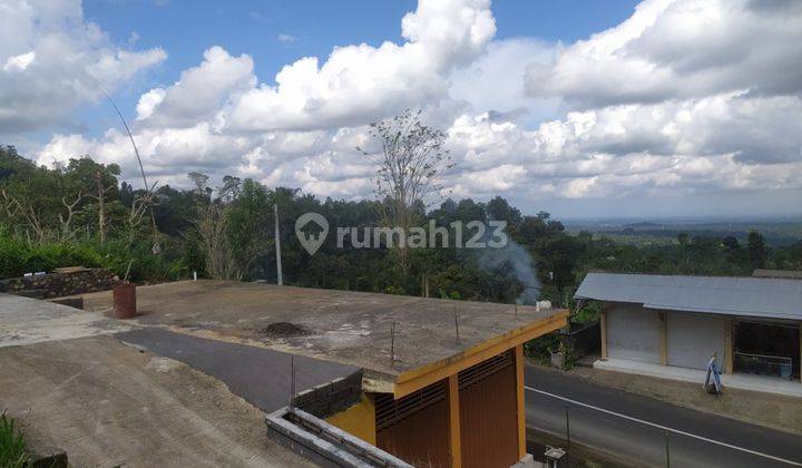 Land and buildings in Angseri Baturiti Tabanan near Tasta zoo, Villa above the clouds 2