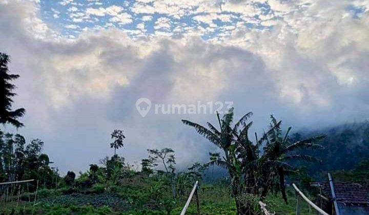 Tanah Dijual Dekat Danau Tamblingan Desa Munduk Buleleng 1