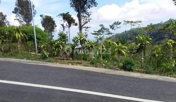 Tanah Dijual Dekat Danau Tamblingan Desa Munduk Buleleng 2