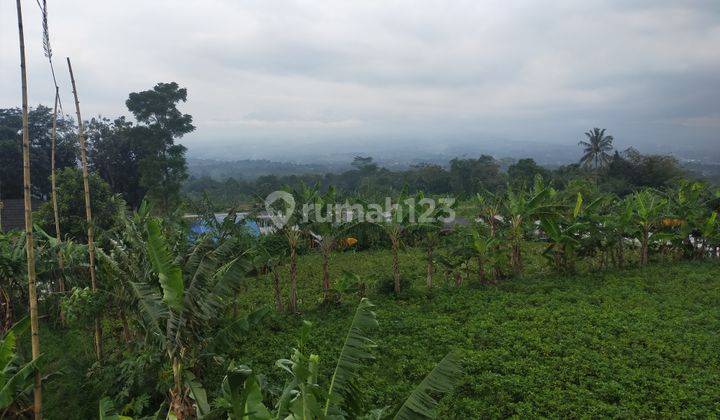 Tanah Rata bagus subur cocok untuk rumah tinggal ataupun villa view sangat the best lokasi strategis dicijeruk  2