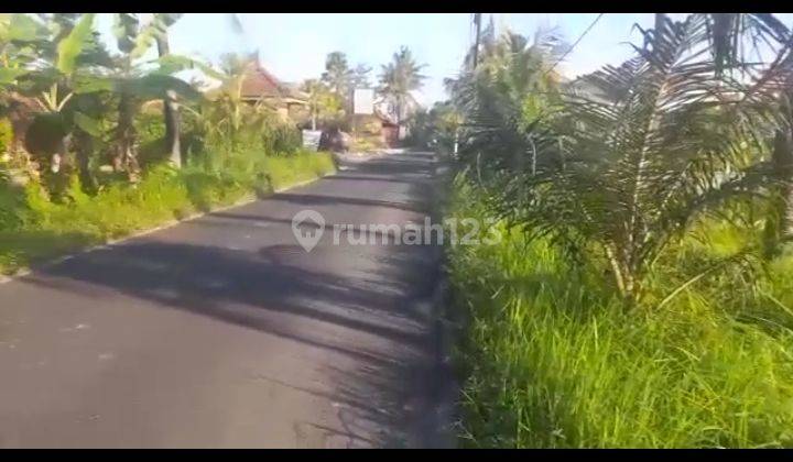 Tanah paling murah di jalan raya kemenuh ubud selatan 2