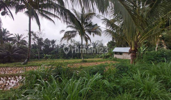 Tanah View Sawah dan Sungai di Payangan  2