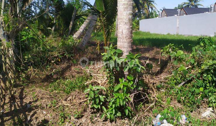 Tanah siap bangun villa di ubud lokasi strategis 1