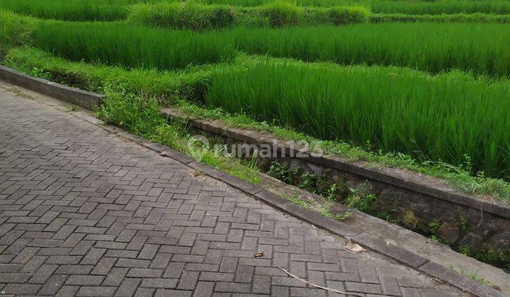 Tanah sewa view sawah lingkungan villa keren bisa sewa 10 are di ubud 1