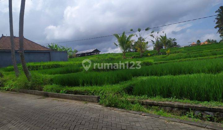 Tanah sewa view sawah lingkungan villa keren bisa sewa 10 are di ubud 2