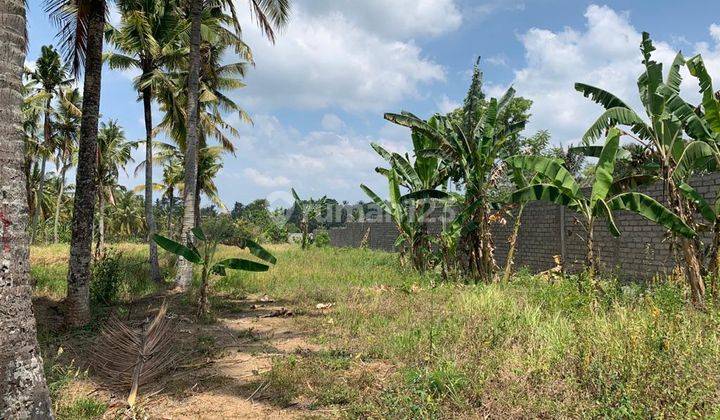 Tanah Komersial Lokasi Strategis Di Sayan Ubud Bali 1