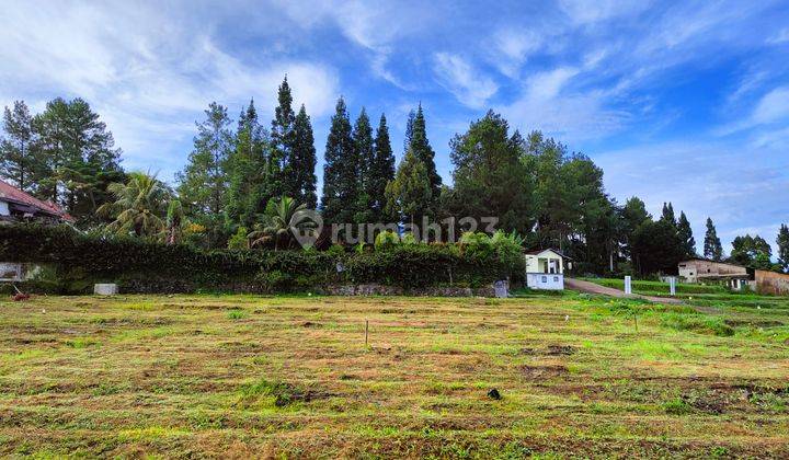 Dijual murahTanah cisarua puncak megamendung 2