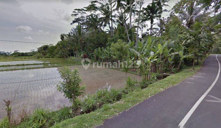 Tanah murah dijual cepat BUC di mengwi badung 2