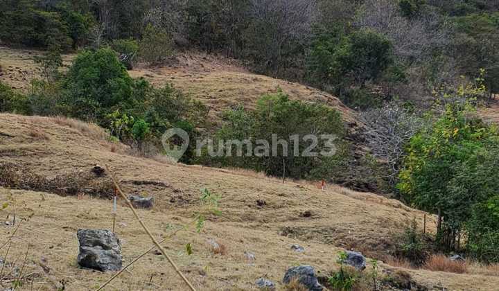 Tanah Bukit View Laut di labuhan Bajo, Komodo Cocok untuk resort hotel 1