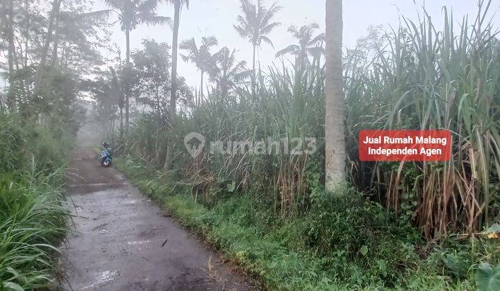 Dijual tanah murah di Ronggo tajinan kab Malang timur kantor blok office Kota Malang 1