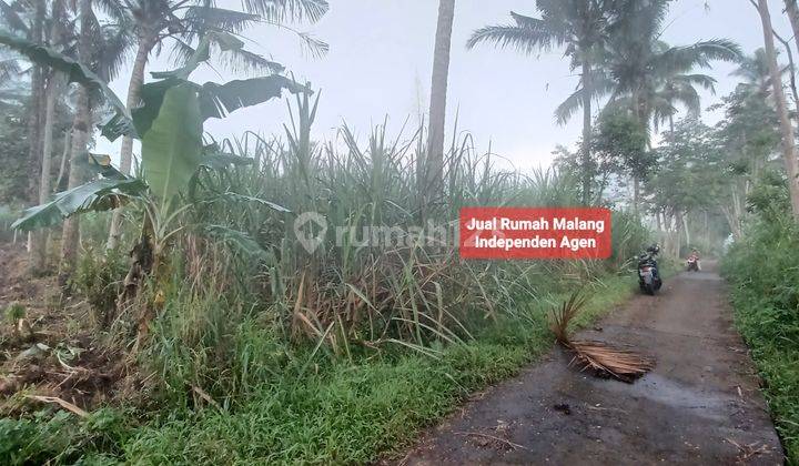 Dijual tanah murah di Ronggo tajinan kab Malang timur kantor blok office Kota Malang 2