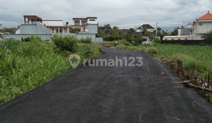 Land For Sale Location Padang Galak
