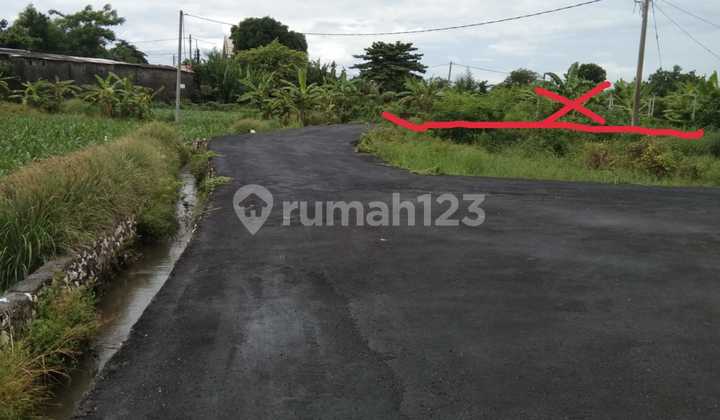 Land For Sale Location Padang Galak