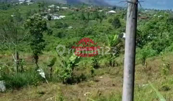 Land for Sale Location Penelokan