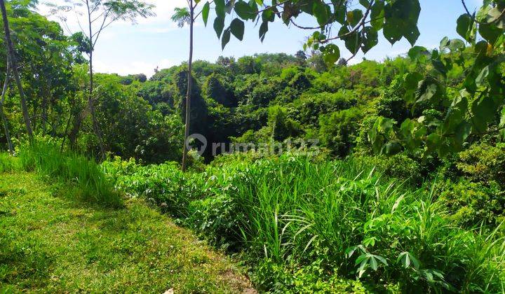 Tanah sangat cocok villa view sungai sawah dan jungle  1