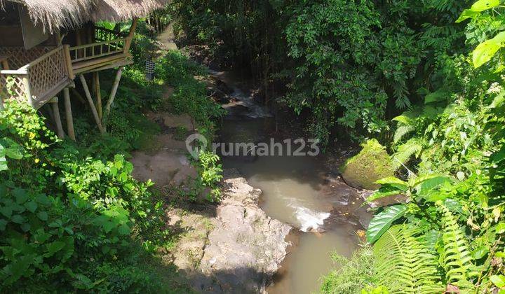 Land View River And Forest Cool Bonus Bamboo House In Ubud 1