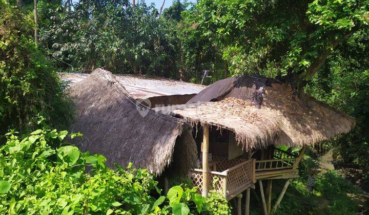 Land View River And Forest Cool Bonus Bamboo House In Ubud 2