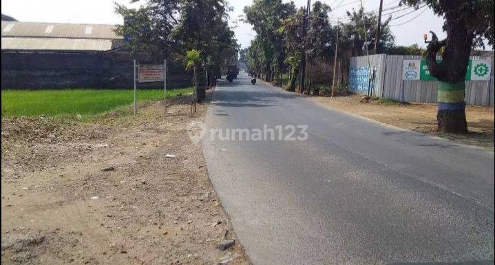 Tanah sawah strategis cocok untuk tempat usaha di Bandung kota  2