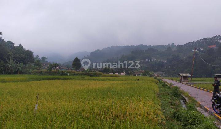 Tanah sawah untuk investasi lokasi sangat strategis air bagus dicaringin  2