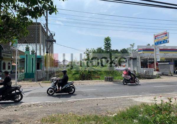 Kavling di jalan Raya Semarang Purwodadi 2