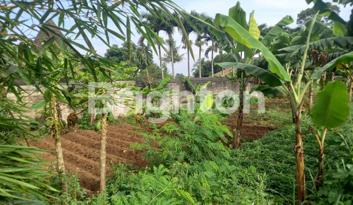 TANAH cisarua 1262M2, PUNCAK, BOGOR, deket taman safari