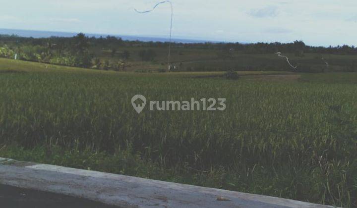 Jual Tanah sawah 68 are Bajera Tabanan 1