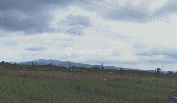 Jual Tanah sawah 68 are Bajera Tabanan 2