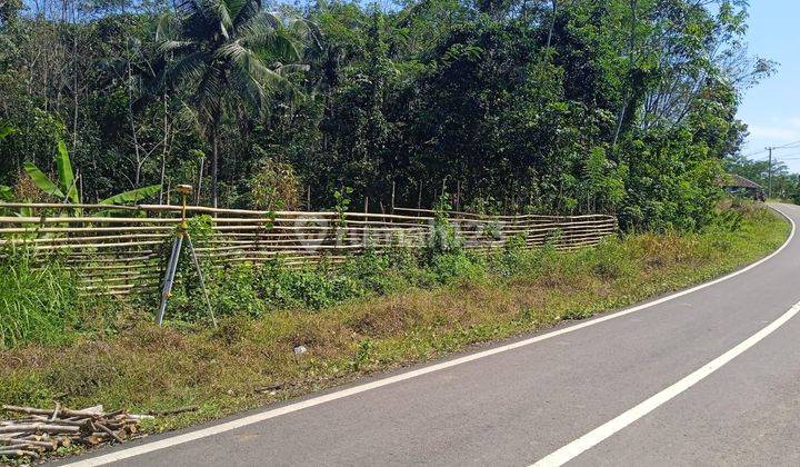 Jual Tanah Kebun Di Lebak Harga Terbaru