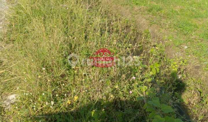 Tanah Jual Lokasi Munggu Tanah Jual Lokasi Munggu