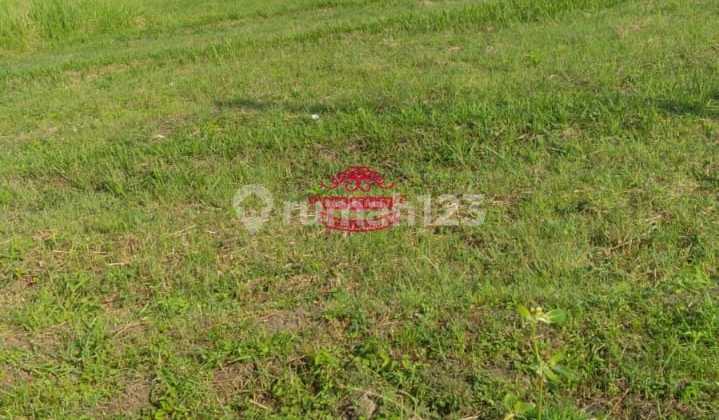 Tanah Jual Lokasi Munggu