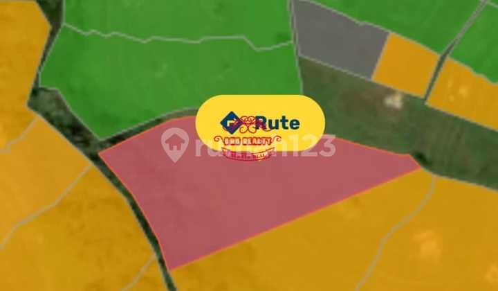 Tanah Jual Lokasi Munggu Tanah Jual Lokasi Munggu