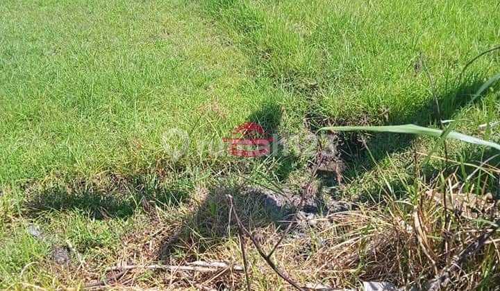 Tanah Jual Lokasi Umalas Tanah Jual Lokasi Umalas