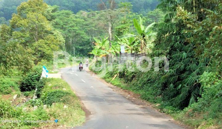 Gratis Pohon Durian Masih Produktif! Lahan Jumbo di Trawas, Pandaan 1