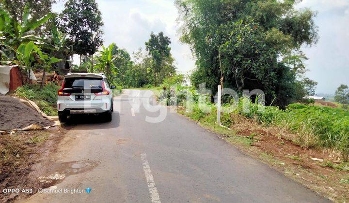 Gratis Pohon Durian Masih Produktif! Lahan Jumbo di Trawas, Pandaan 2