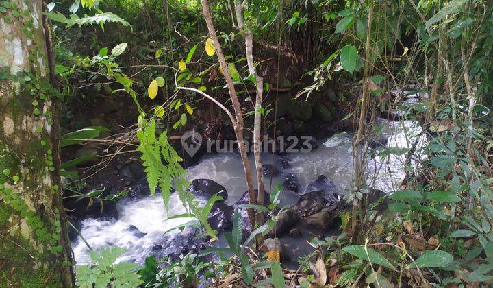 Tanah Kebun Los Sungai View Sawah Dekat Jalan Utama Siap Bangun 1