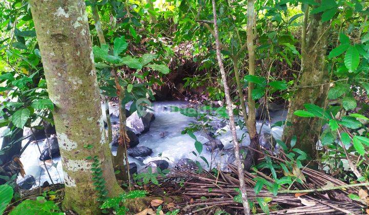 Tanah Kebun Los Sungai View Sawah Dekat Jalan Utama Siap Bangun 2