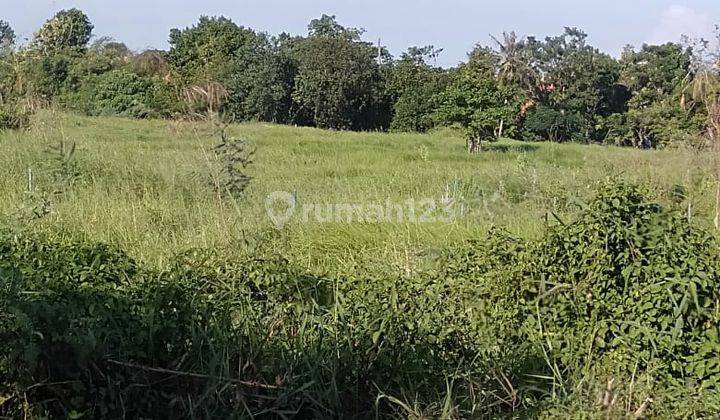 Tanah dekat jalan untuk view sawah dekat pantai lima canggu 2