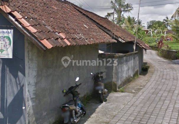 Tanah bonus rumah kosan di central ubud harga murah 1