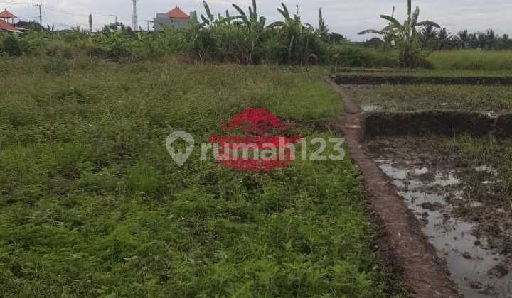 Tanah Jual Lokasi Nyambu