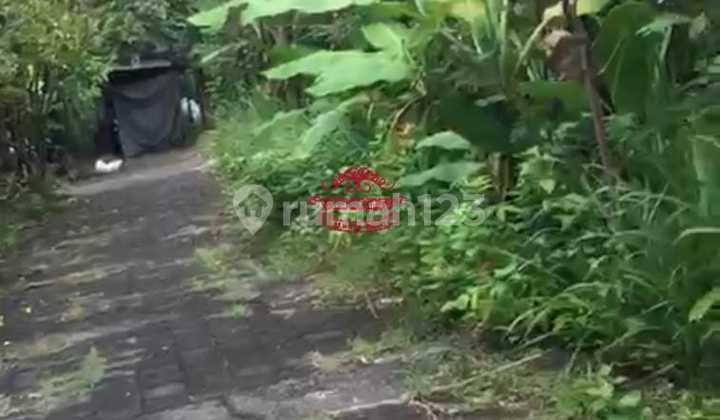 Tanah Jual Lokasi Ungasan Tanah Jual Lokasi Ungasan