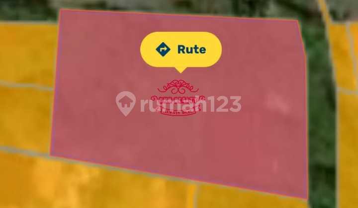 Tanah Jual Lokasi Pererenan