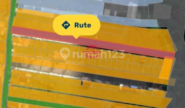 Tanah Jual Lokasi Mengwi Tanah Jual Lokasi Mengwi