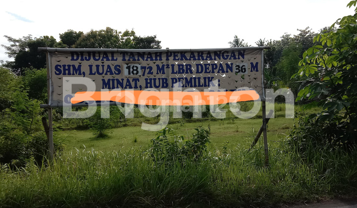 TANAH PINGGIR JLPOROS GANDU SENDANG TIRTO TANAH PINGGIR JLPOROS GANDU SENDANG TIRTO