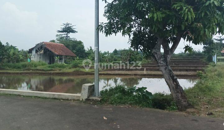  Tambak Ikan/Sawah,murah murah!!Cibungbulang Bogor 2