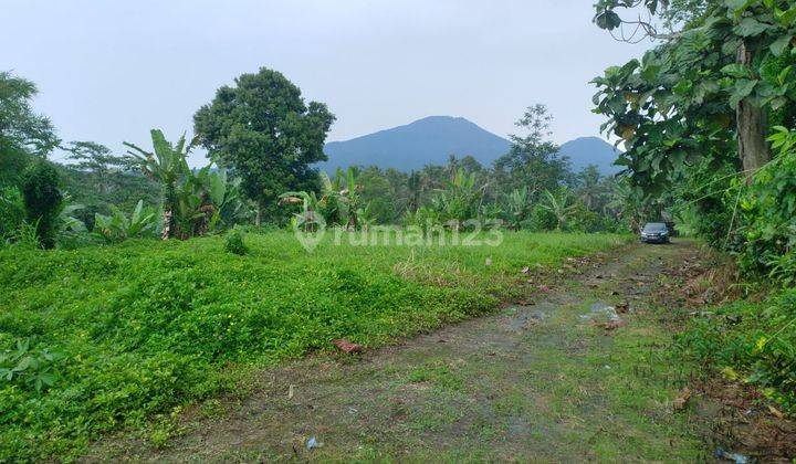 BUC TANAH VIEW GUNUNG, SAWAH DAN SUNGAI TABANAN 2