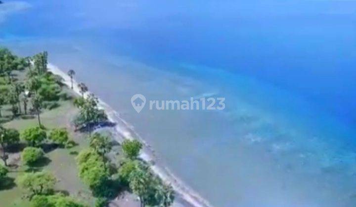 BEACHFRONT LAND FOR SALE IN SINGARAJA 1