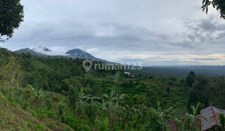 TANAH VIEW GUNUNG, LAUT DAN PULAU JAWA 2